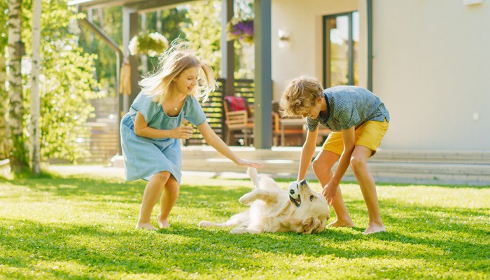7 ways to enjoy summer without breaking your budget