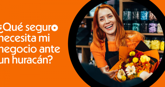 Blog Pymes Que Seguro Necesita Mi Negocio